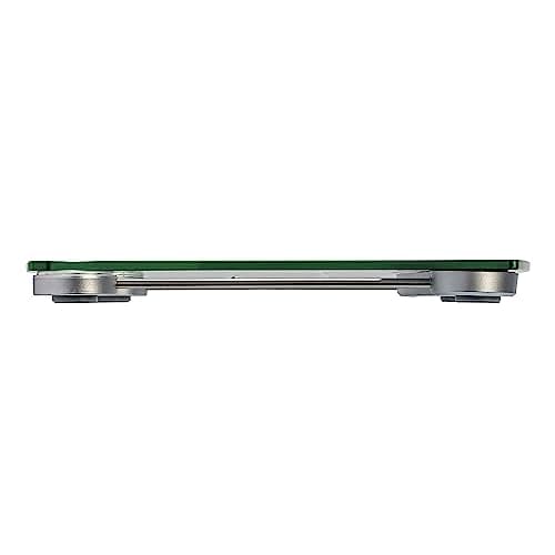 Taylor Extra Accurate Digital Scales, 440LB Capacity, Blue LCD, Stainless Steel Accents, 12.4" Platform