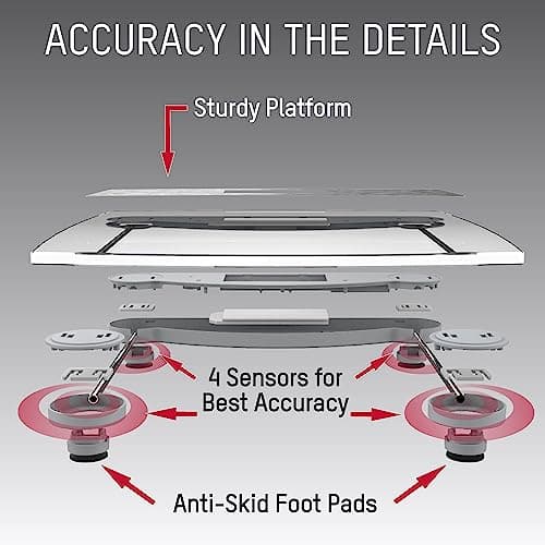 Taylor Extra Accurate Digital Scales, 440LB Capacity, Blue LCD, Stainless Steel Accents, 12.4" Platform